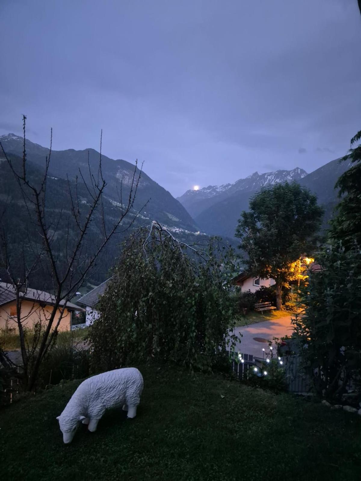 Ferienwohnung Witting Wenns Esterno foto
